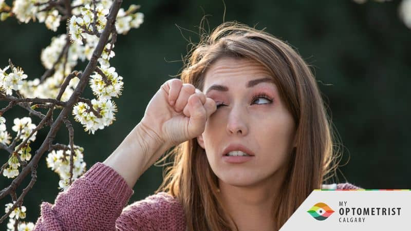 Seasonal Dry Eye Syndrome: Preparing Your Eyes for the Spring Season